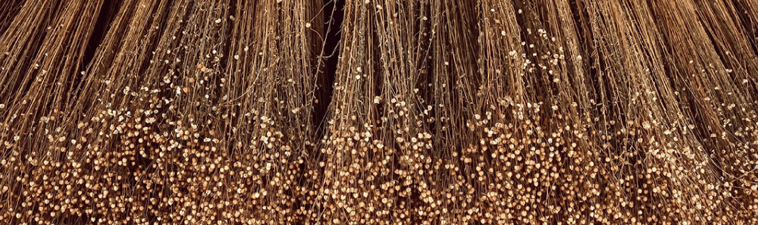 Les liants dans votre peinture