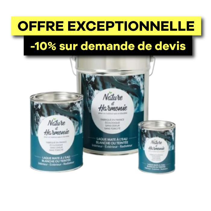 Laque mate à l'eau - intérieur/extérieur