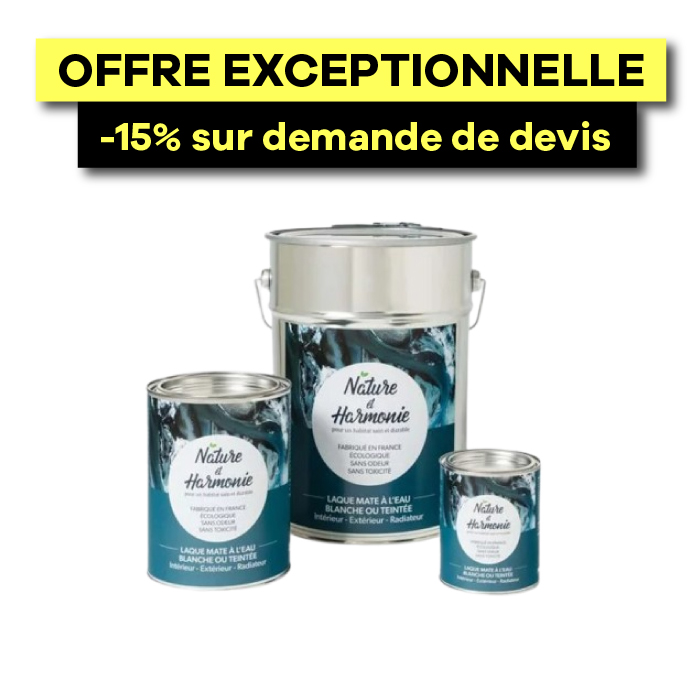 Laque mate à l'eau - intérieur/extérieur