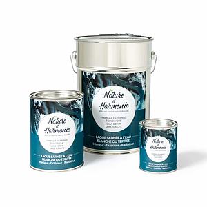LAQUE SATINEE A L'EAU Intérieur/ Extérieur